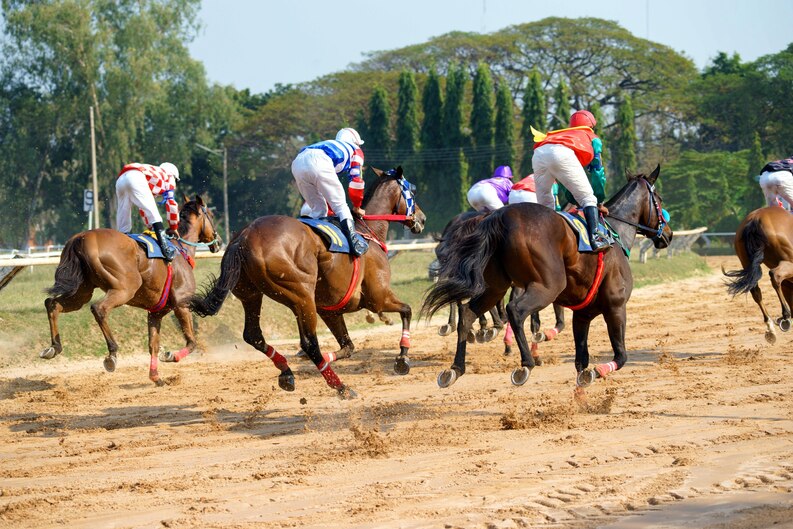 Hiring A Chauffeur For Grand National, Aintree Racecourse